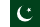 Pakistan Flag Overlay